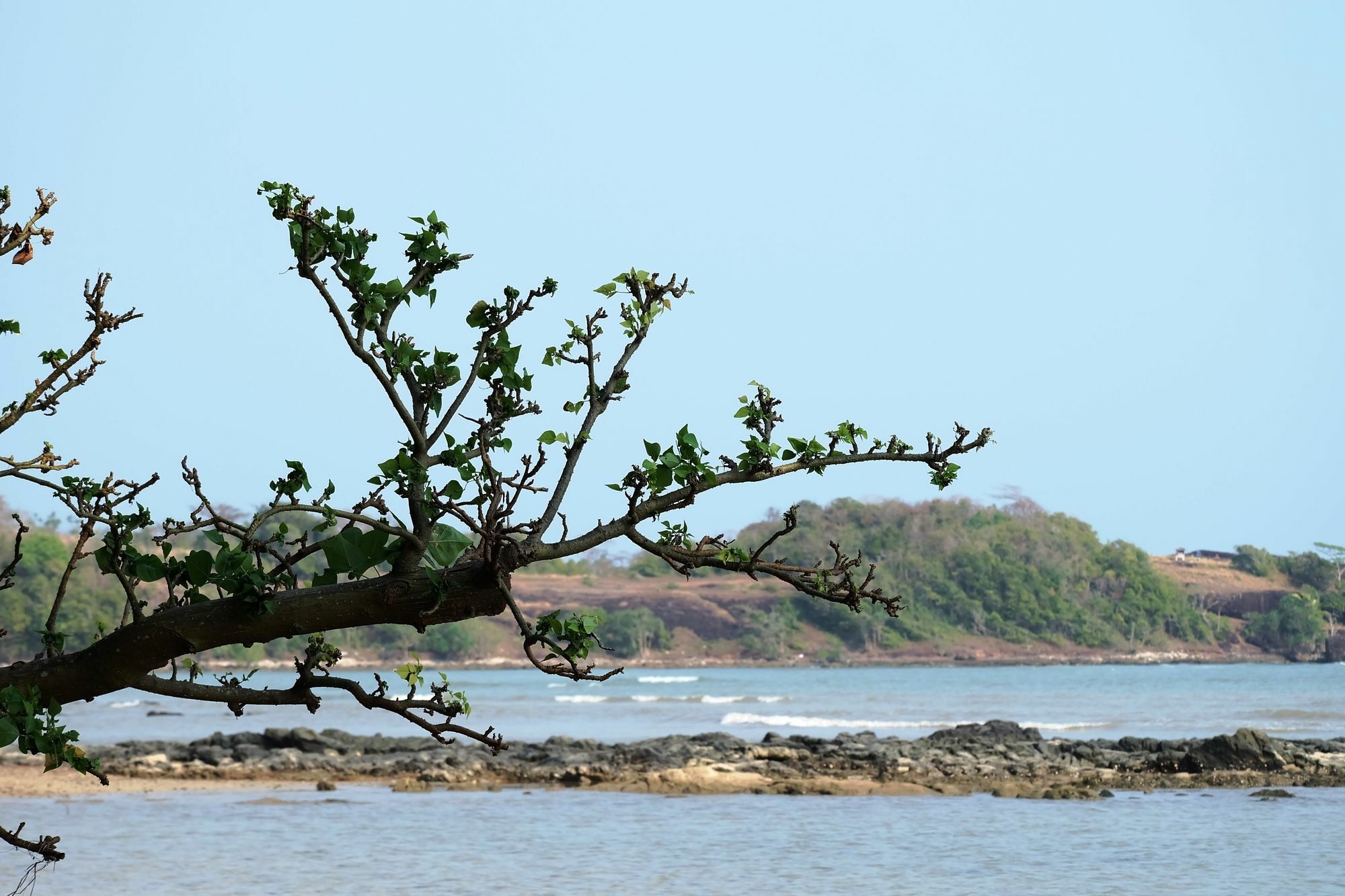 Plub Pla Koh Mak Retreat Hotel Kültér fotó